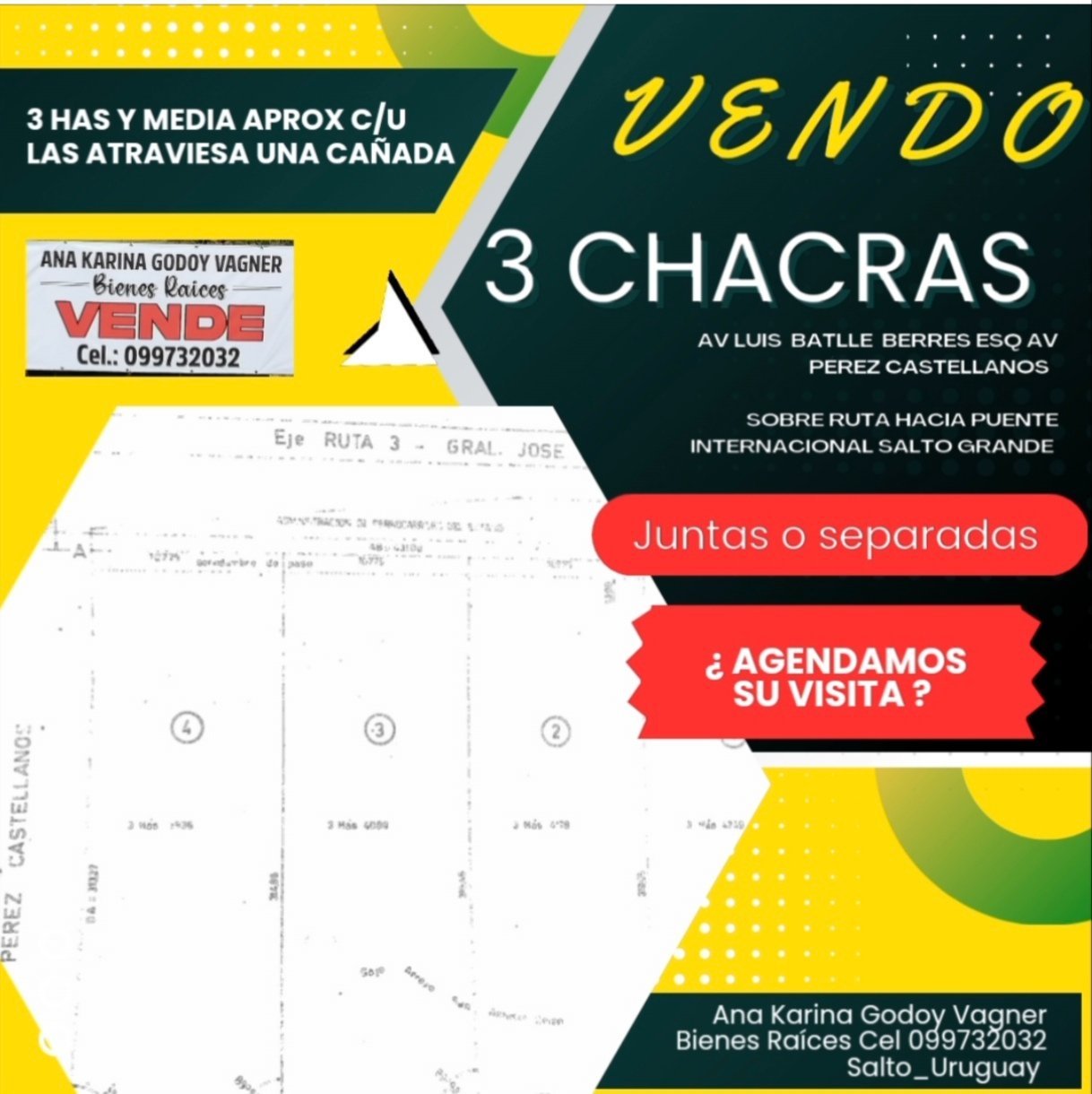 V E N D O 3 Chacras,juntas o separadas