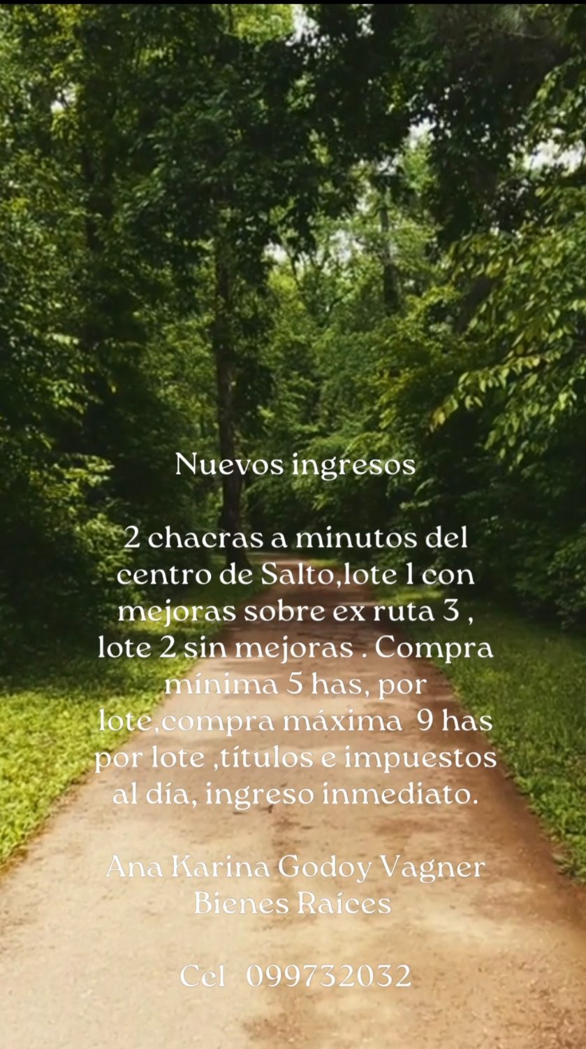 V E N D O 2 chacras ubicadas sobre ex ruta 3 ,camino a Represa Internacional Salto Grande. Aptas para Banco. Ingreso inmediato. Ana Karina Godoy Vagner Bienes Raíces Cel 099732032