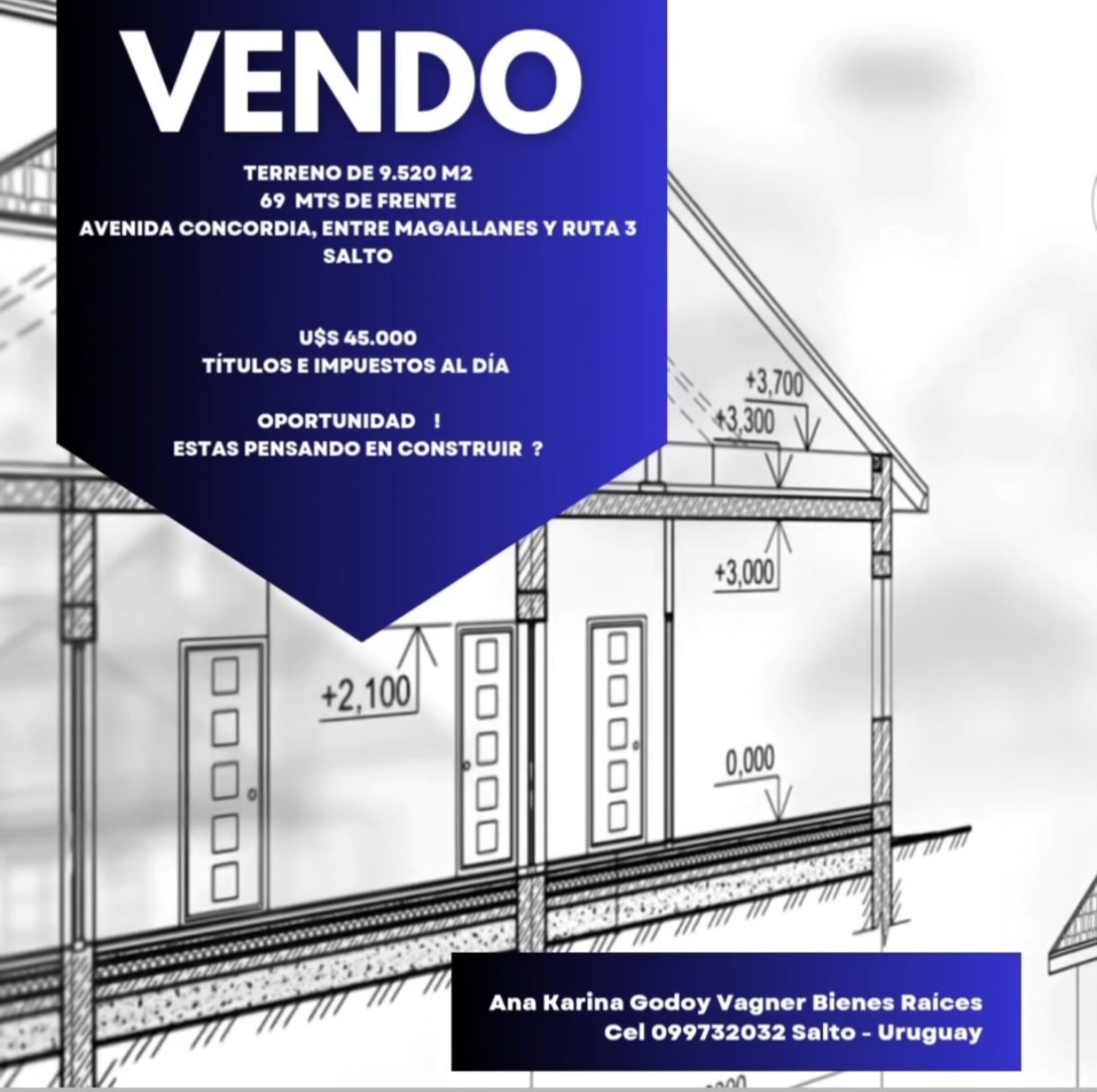 V E N D O